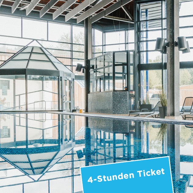 Das Foto zeigt unser Hallenbecken