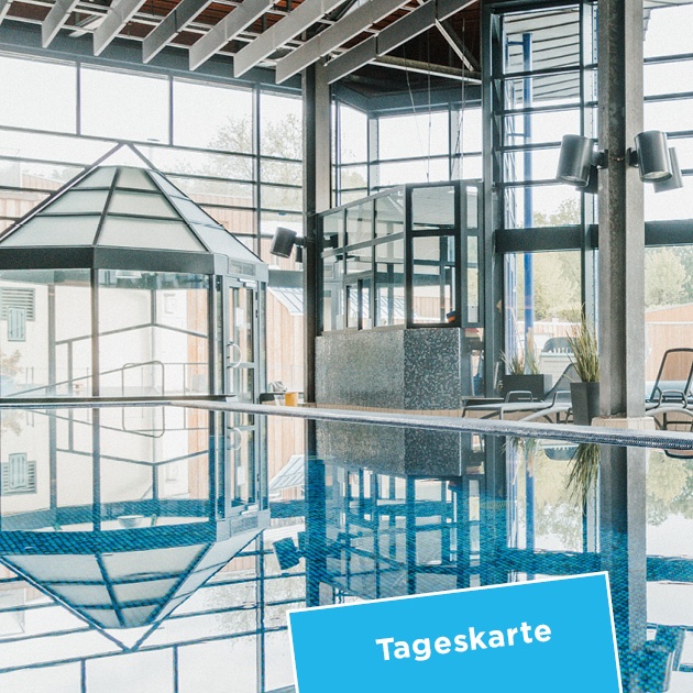 Das Foto zeigt unser Hallenbecken
